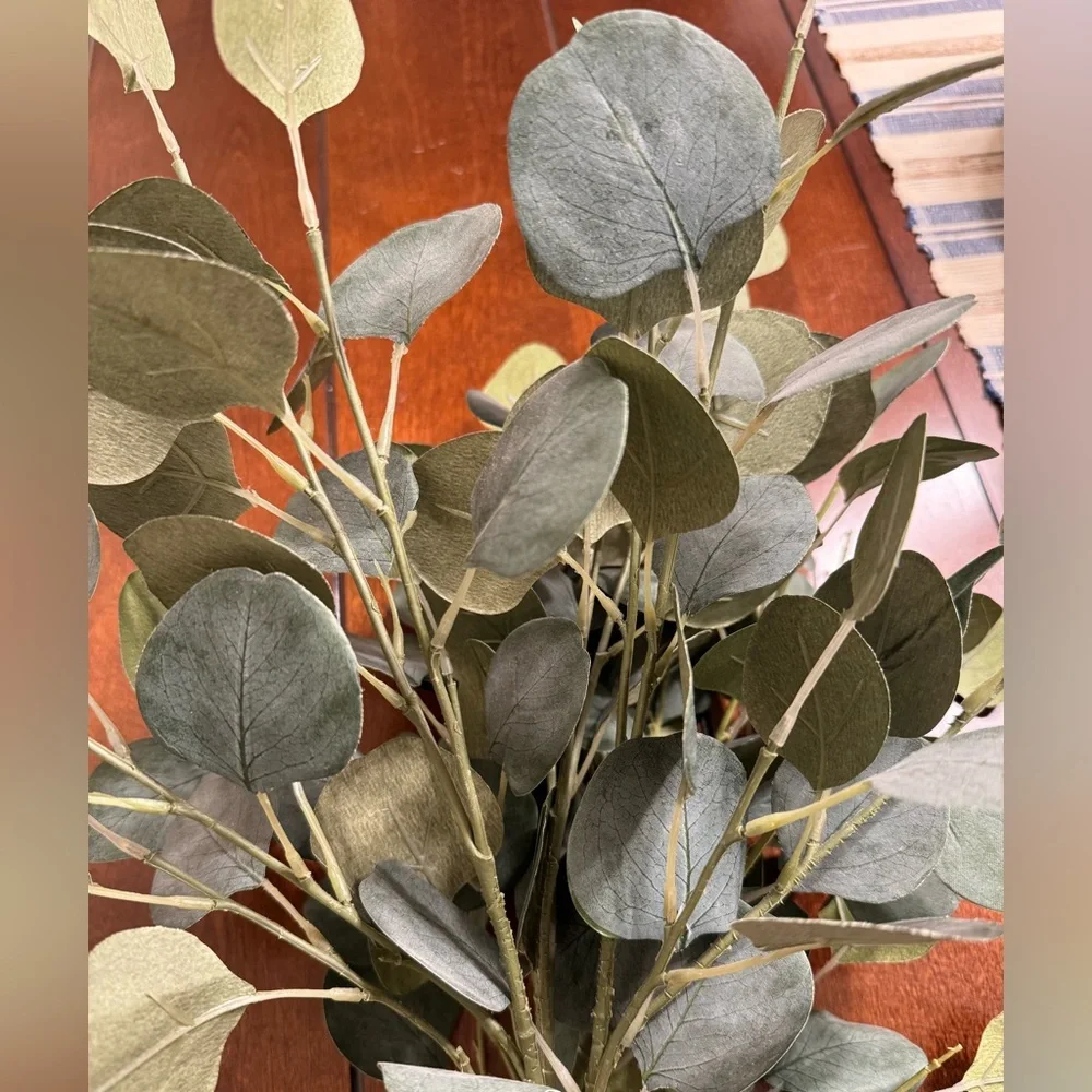 Faux Silver Dollar Eucalyptus Stems